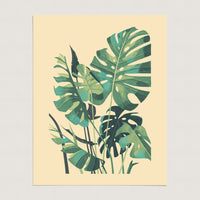 Monstera Deliciosa