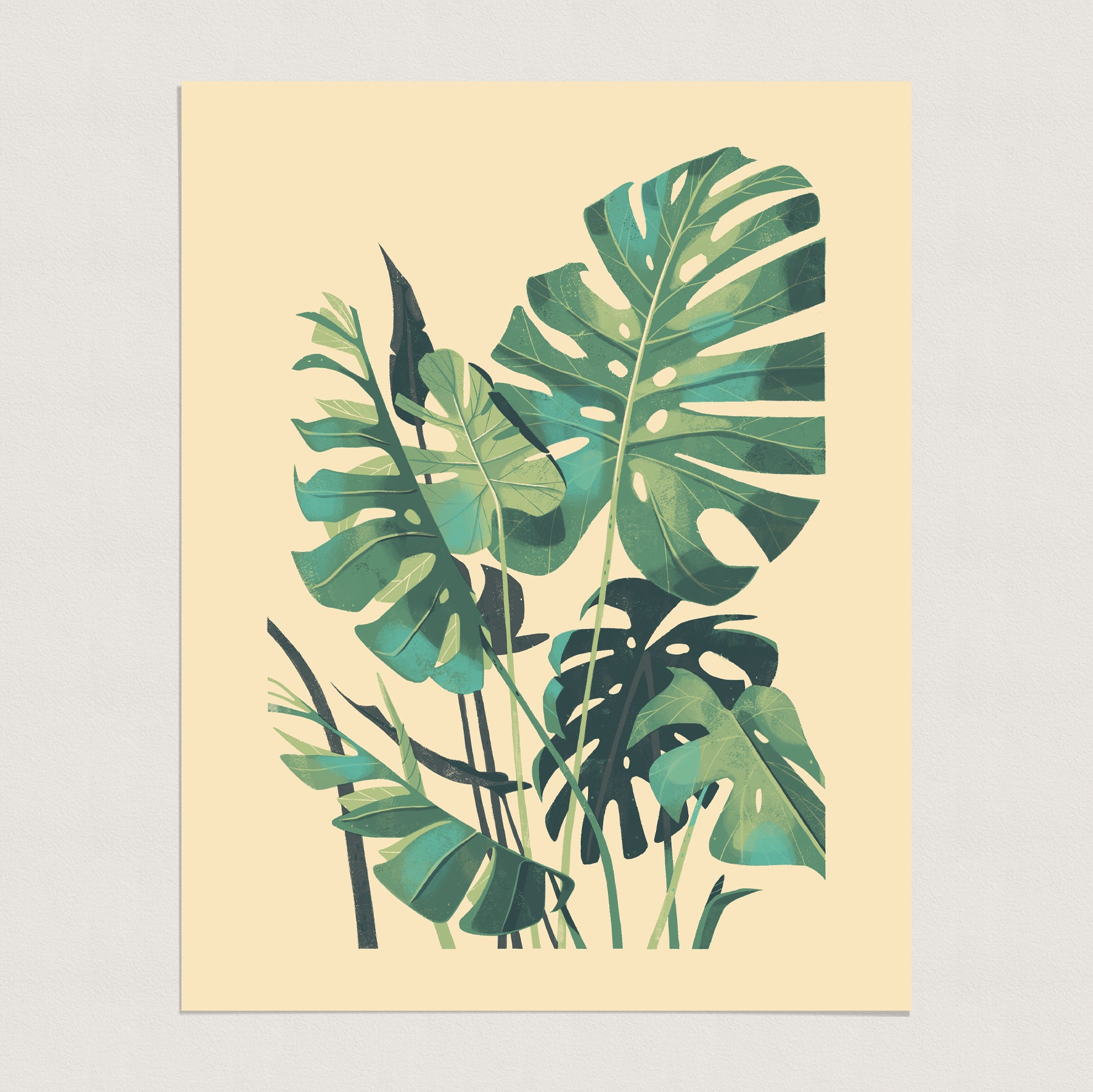 monstera deliciosa illustration Monstera Deliciosa