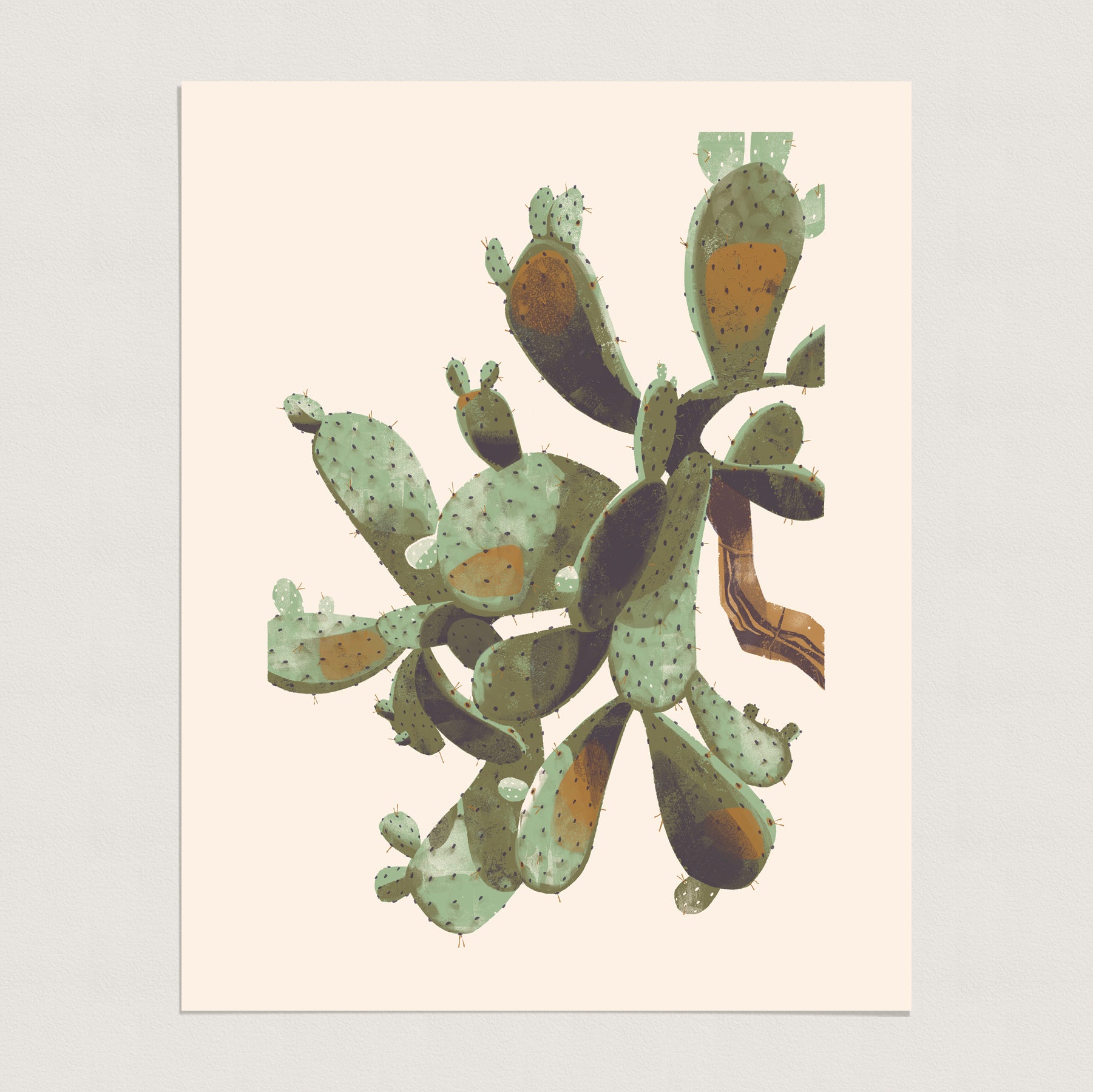 prickly pear cactus botanical illustration Prickly Pear Cactus