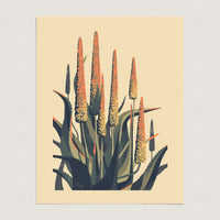 Aloe Study 1