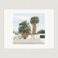 Two Palms